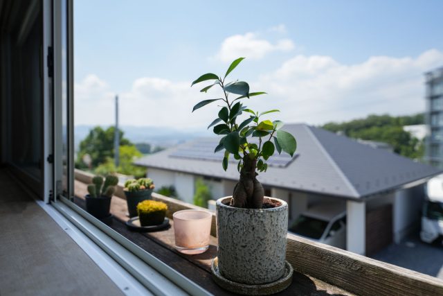窓際の花台越しに。2階リビングからは街の景色が一望できる