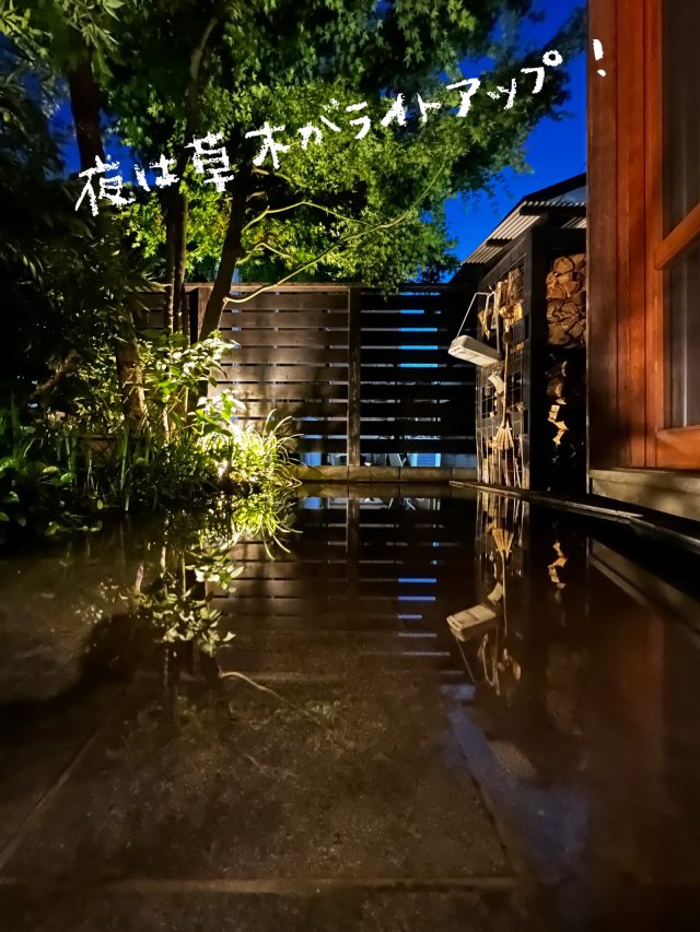 昼間と違った表情も楽しめる