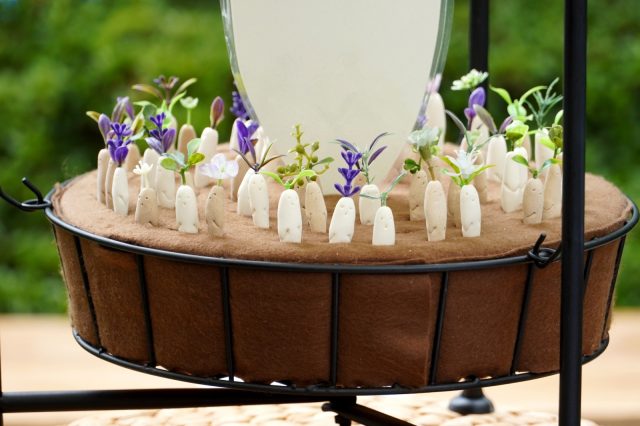 Torc Alltaのマスコットキャラクター「みんなの大根」。