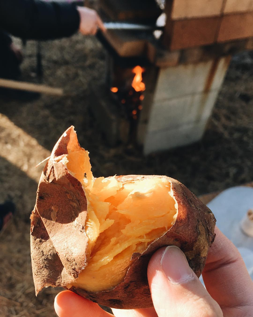 【イベント後記】住んでる家の見楽会
