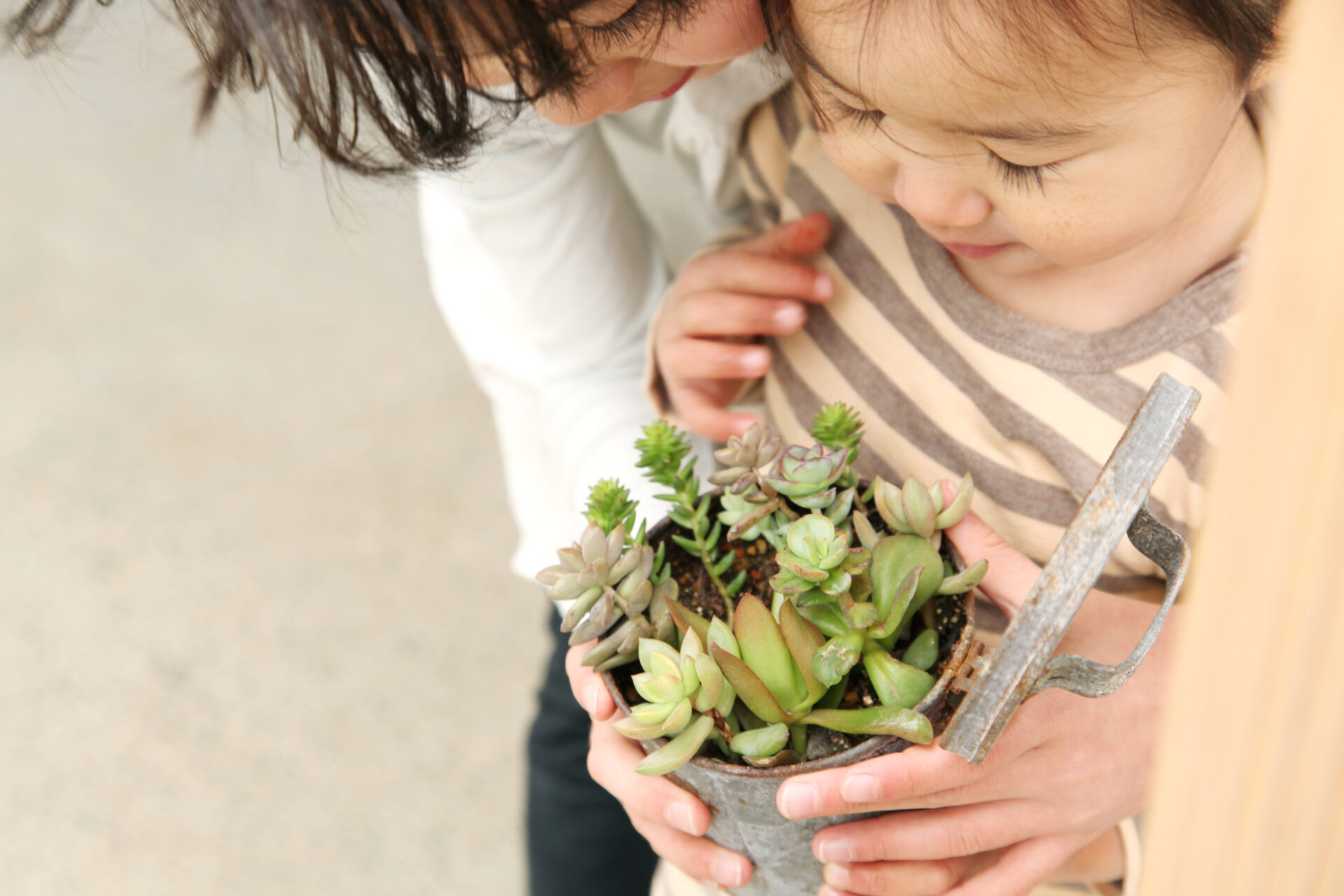 【ソーラータウン西所沢】日々の暮らしを丁寧につくる