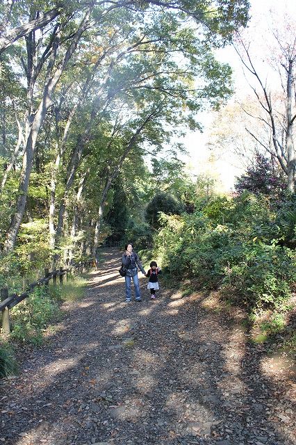 『近くにある日本一の山』…にしとこ○○ [008]