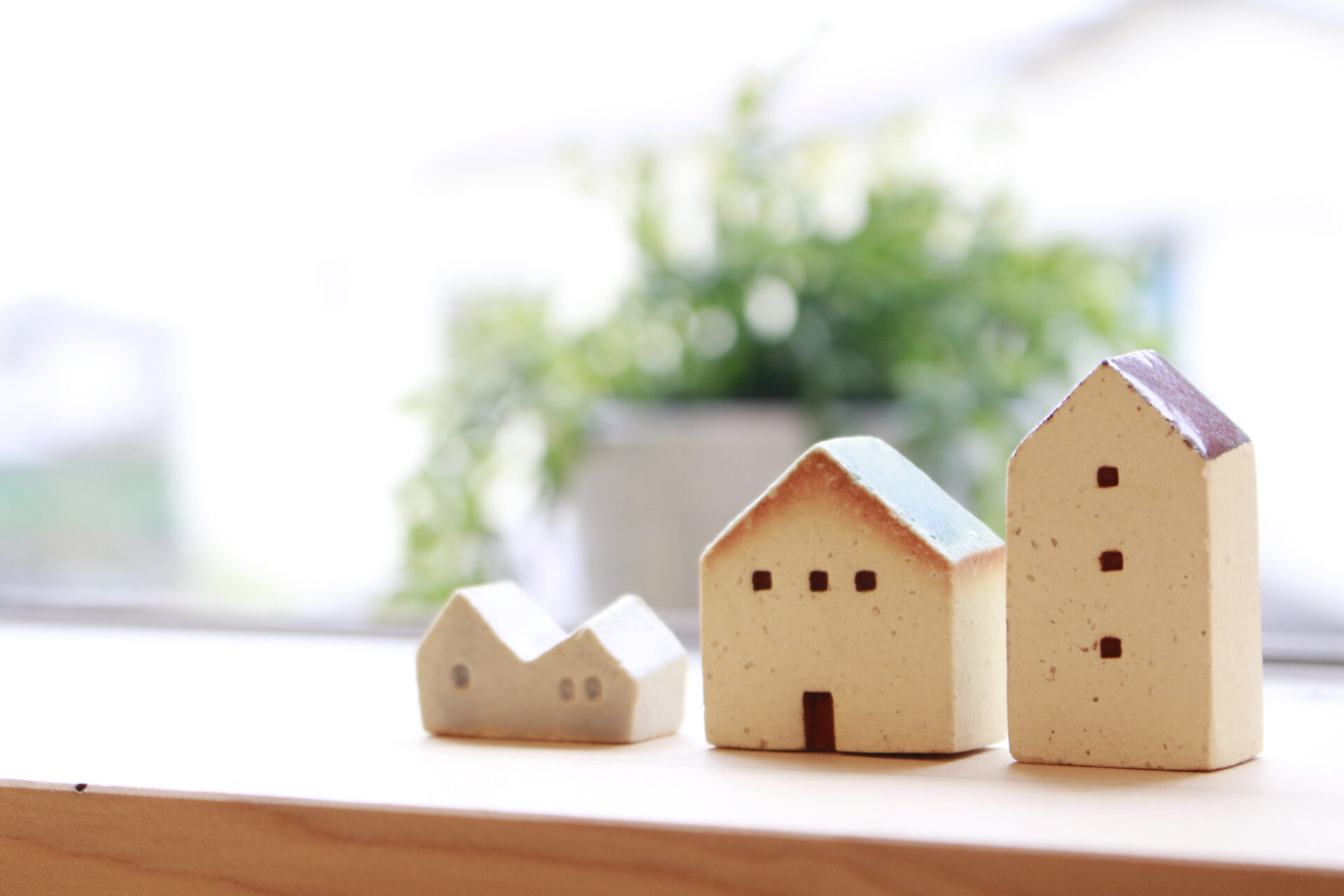 column　vol.2　どんな情報を集めたらいいでしょうか？