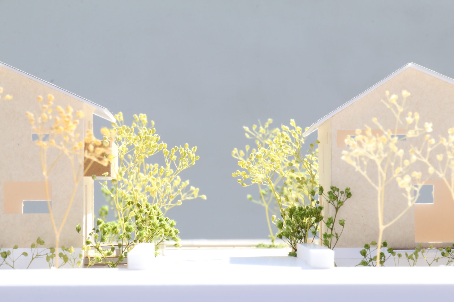 【ソーラータウン八国山＆久米川】販売会同日開催：3/9（土）10（日）