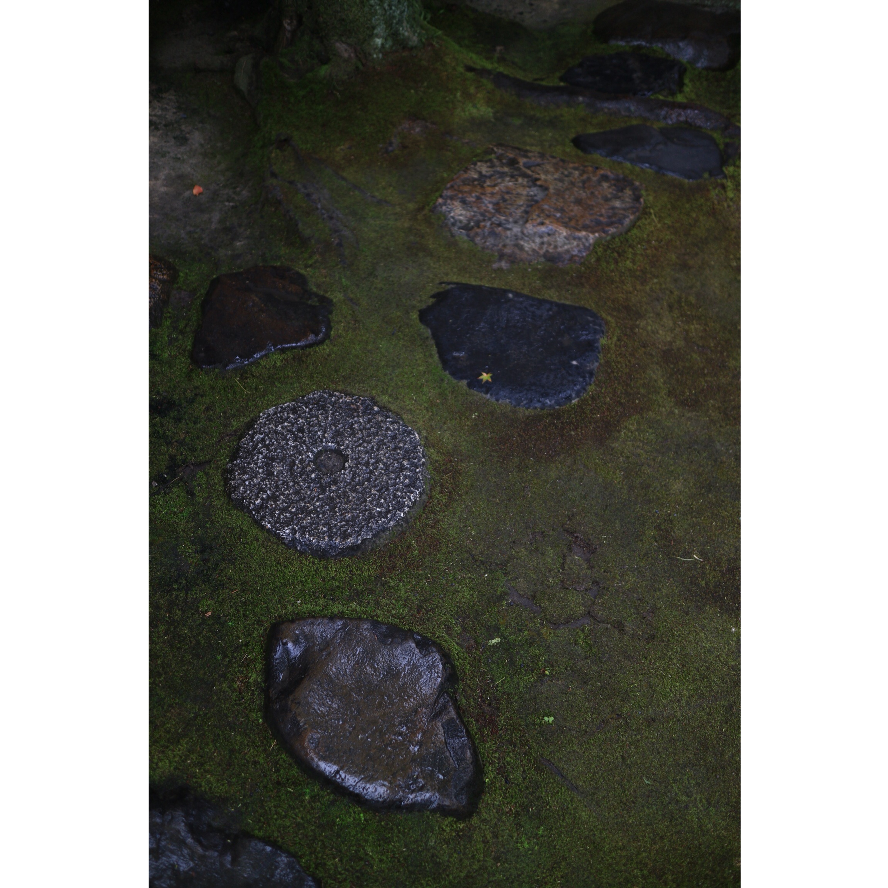 庭の石　無隣庵