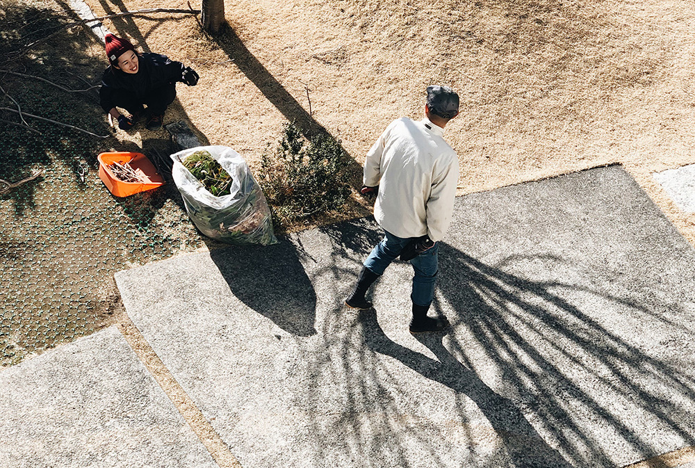 つむじの庭のお手入れ