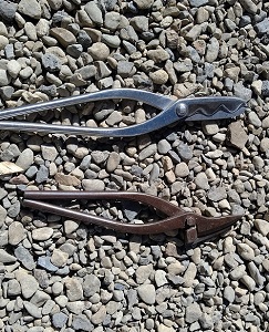 移り変わるもの。