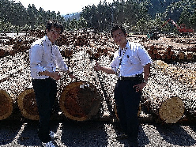 花粉症対策と、地域の山の木のこと。