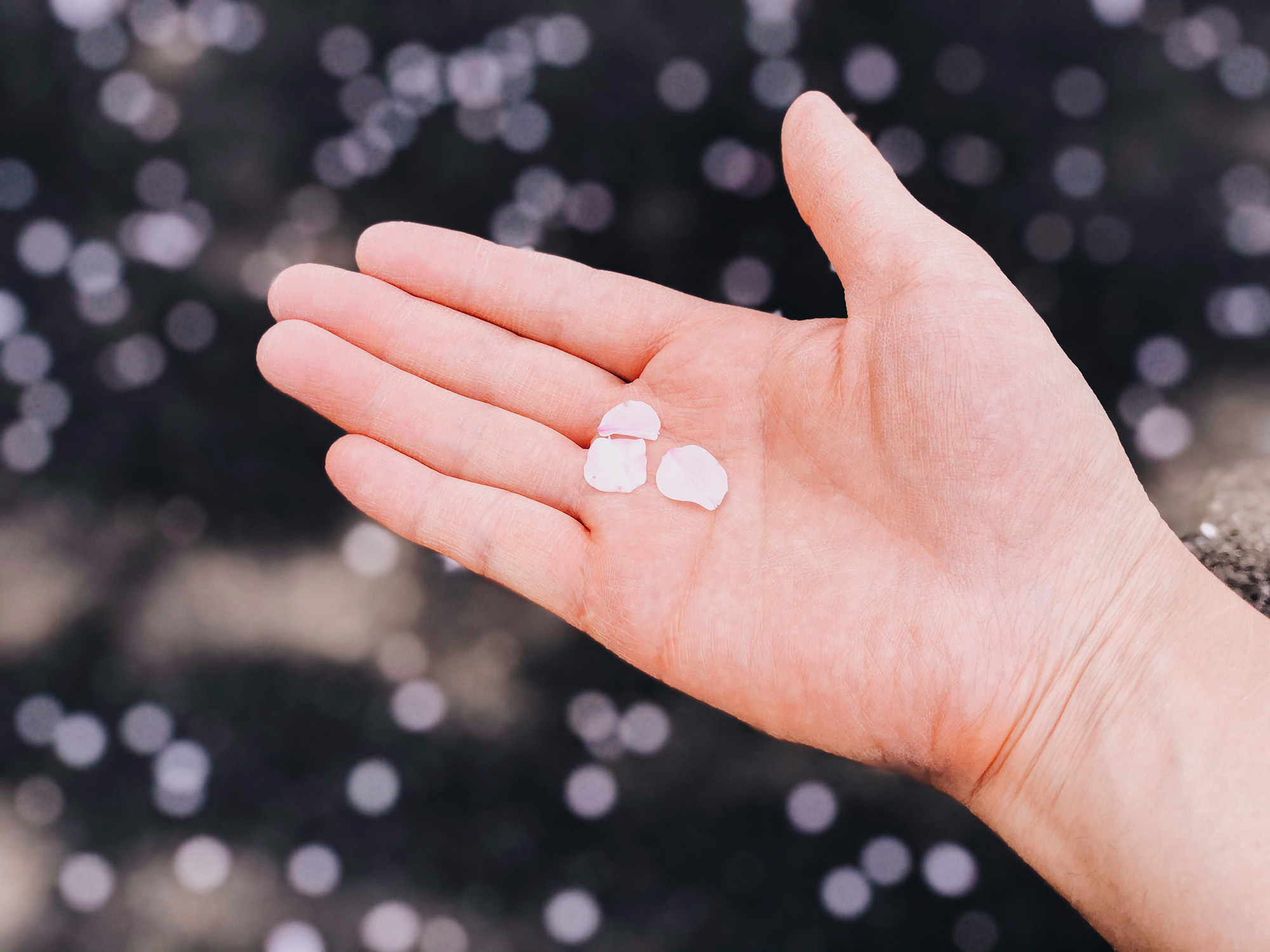 向き合うこと、伝えること