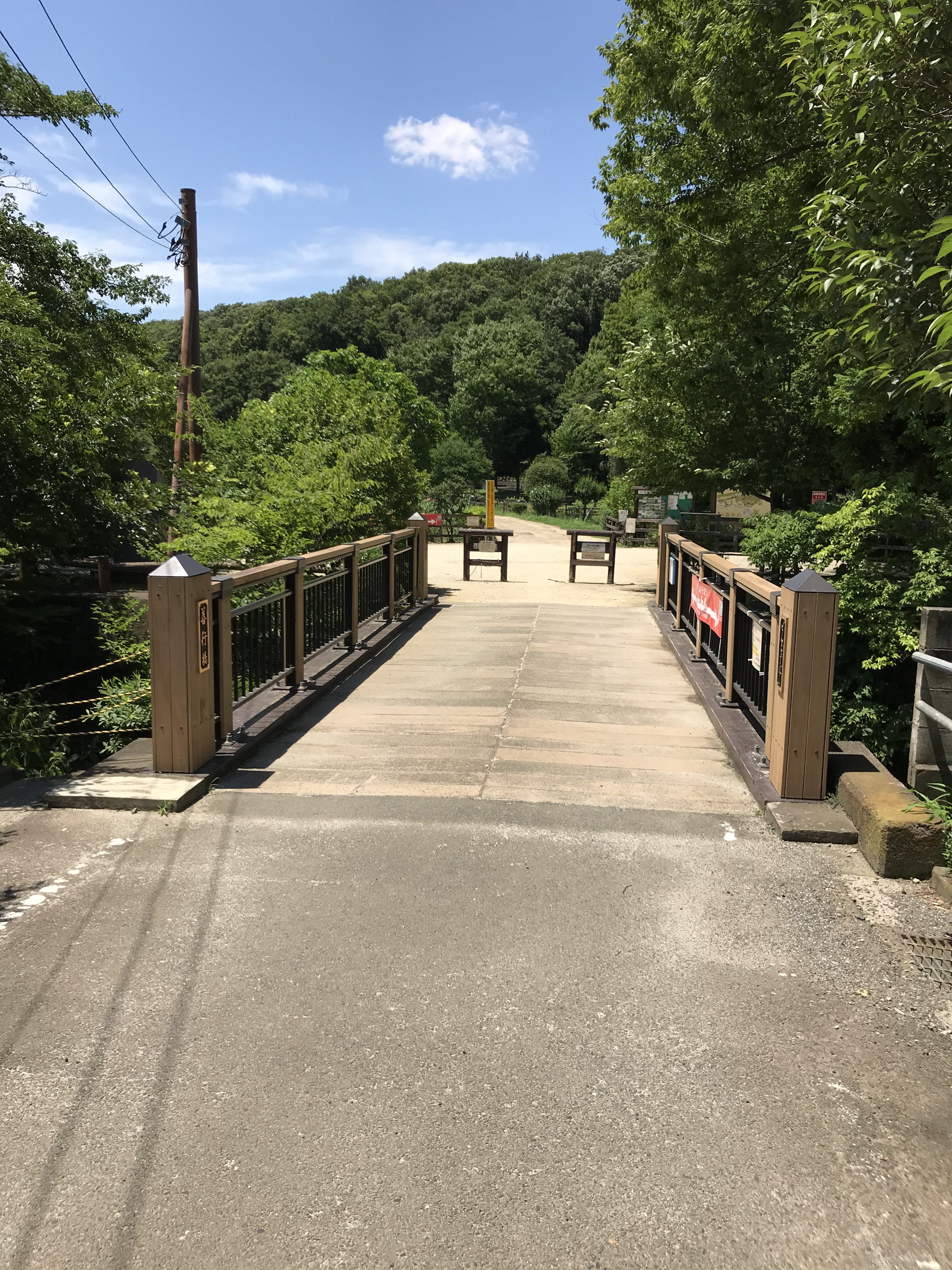 梅雨の時期の楽しみ（その２）