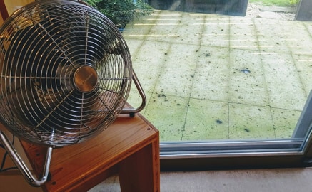 今ほしいもの。