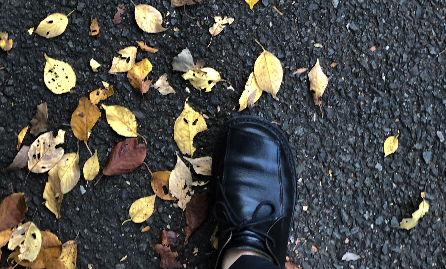 自然が身近な郊外のまちに暮らす