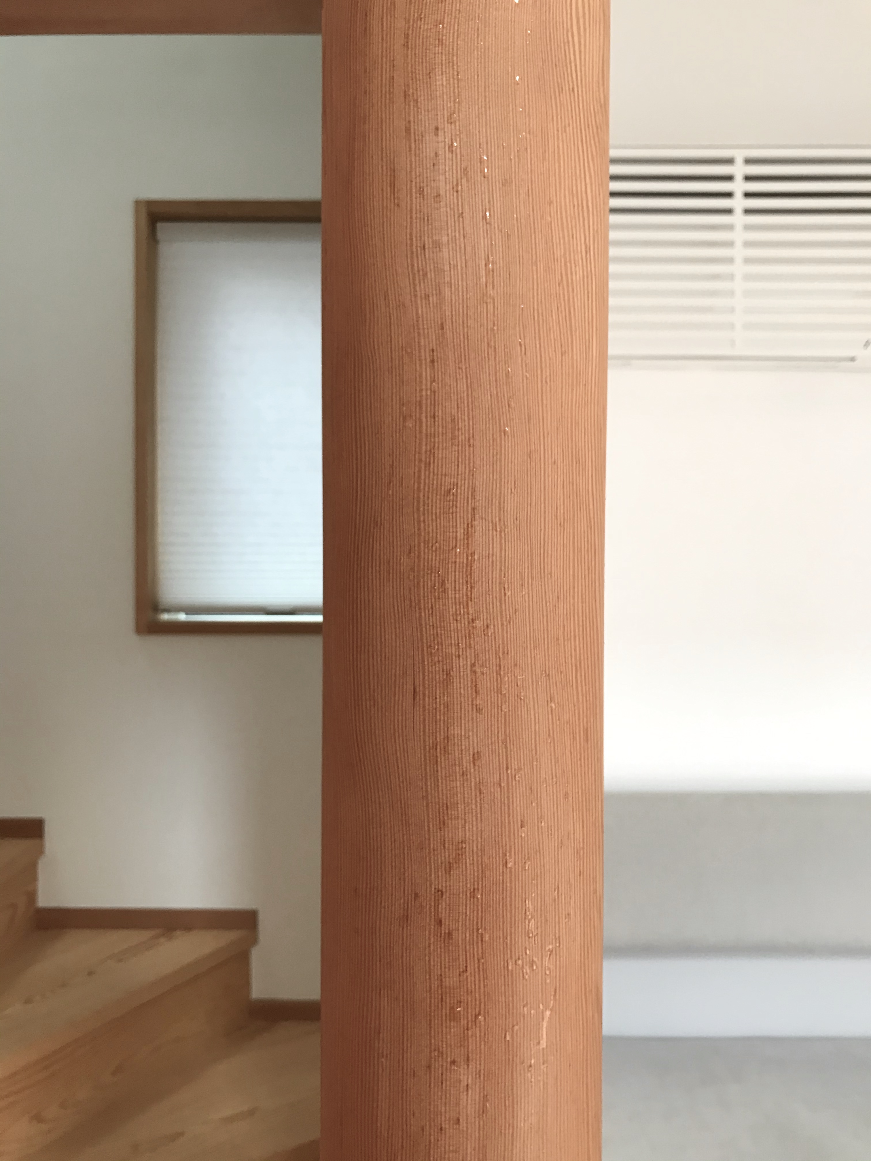 松脂（マツヤニ）の落し方