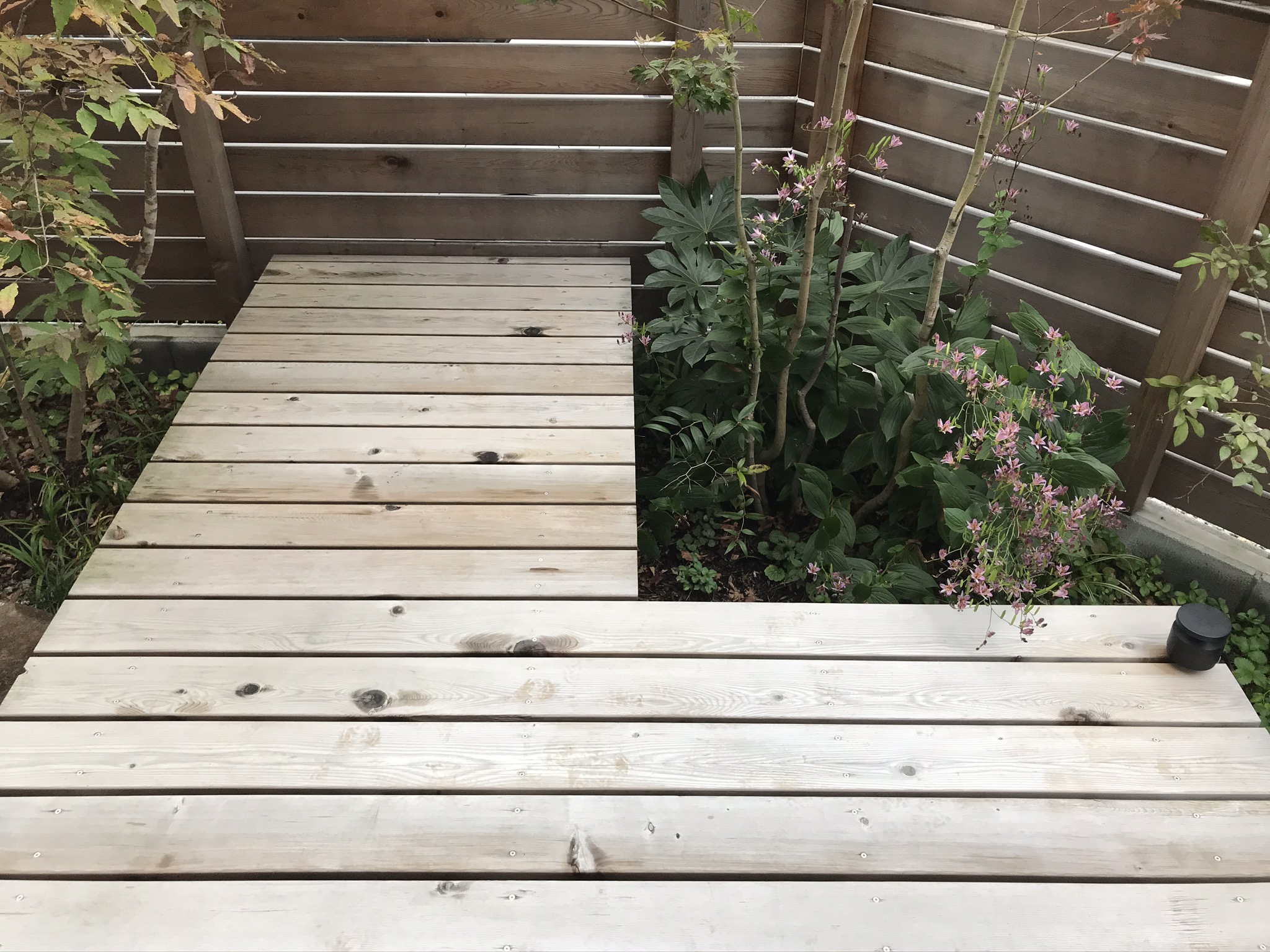 ウッドデッキのお掃除