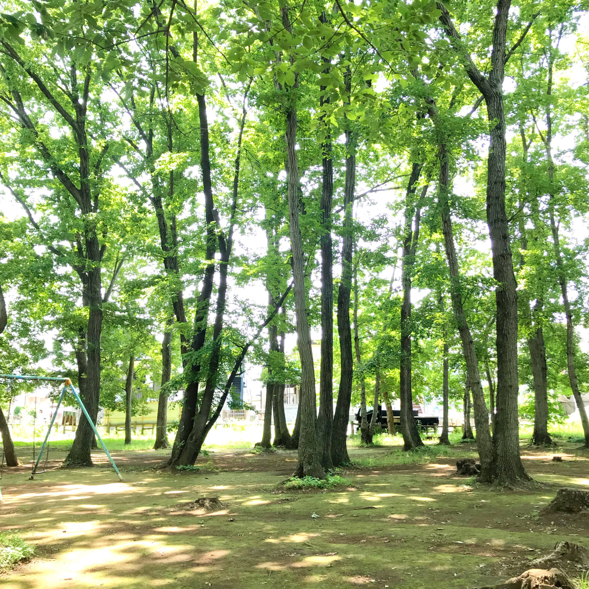 あいばの「公園サポート」はじまります!