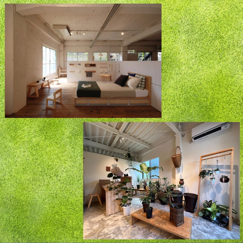 仲介手数料１％（物件購入価格の1％）：ポイント還元キャンペーン！