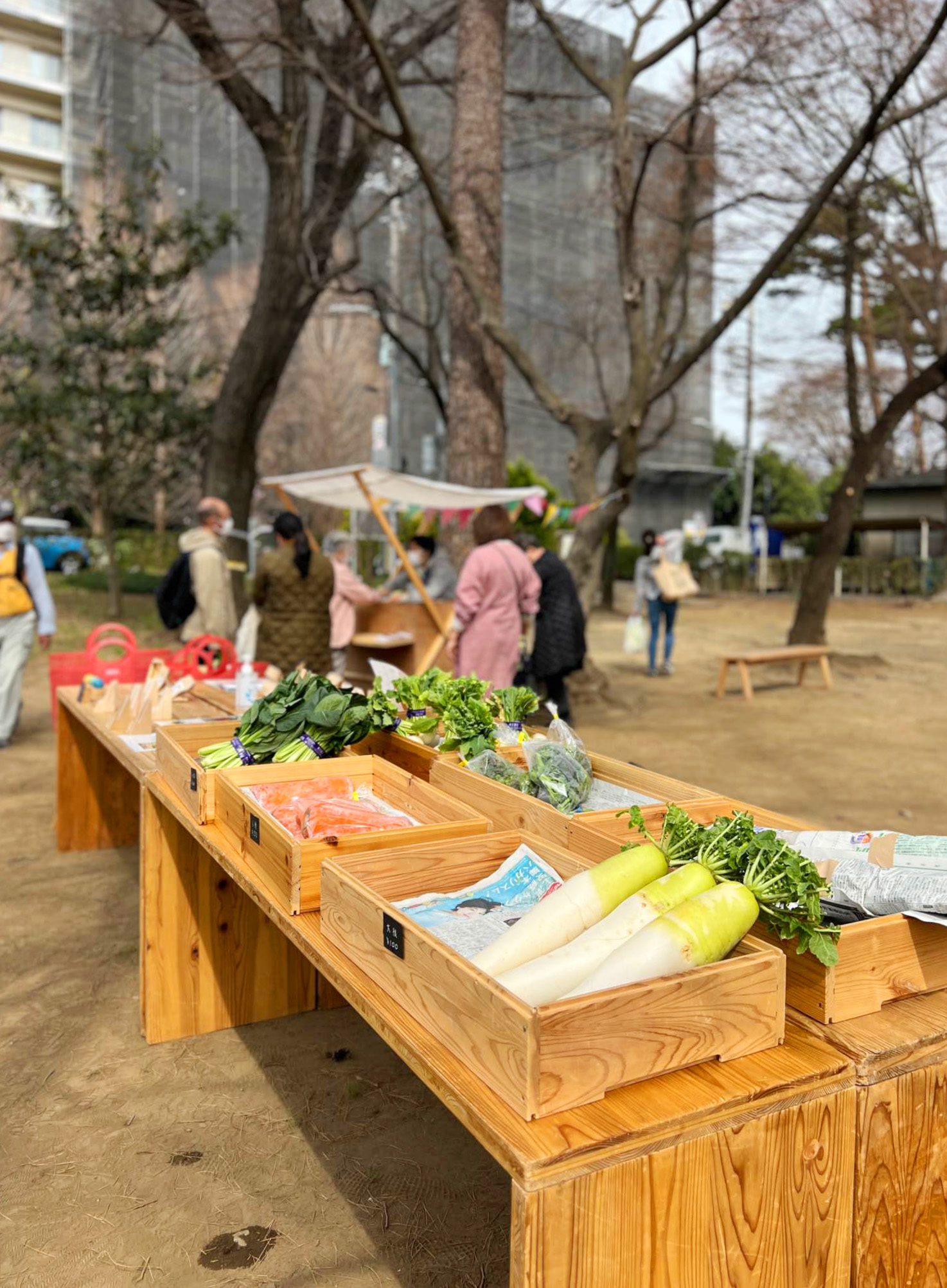 東村山市内公園の自主事業
