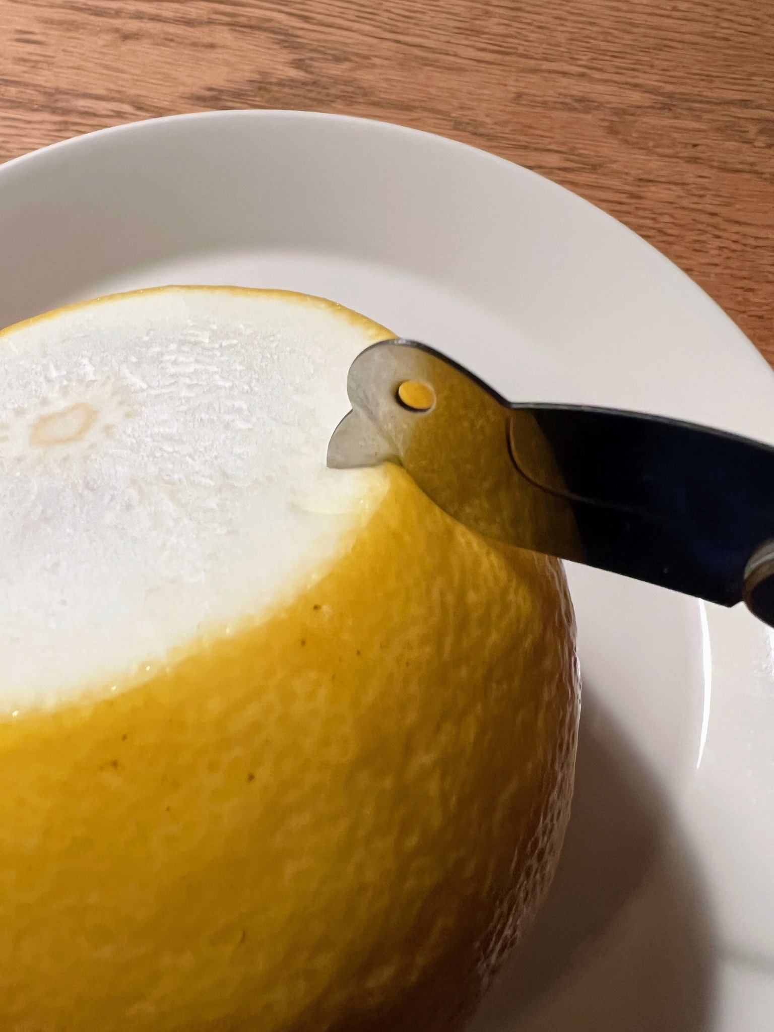 こいずみ道具店の推し道具を紹介！「柑橘皮むき」