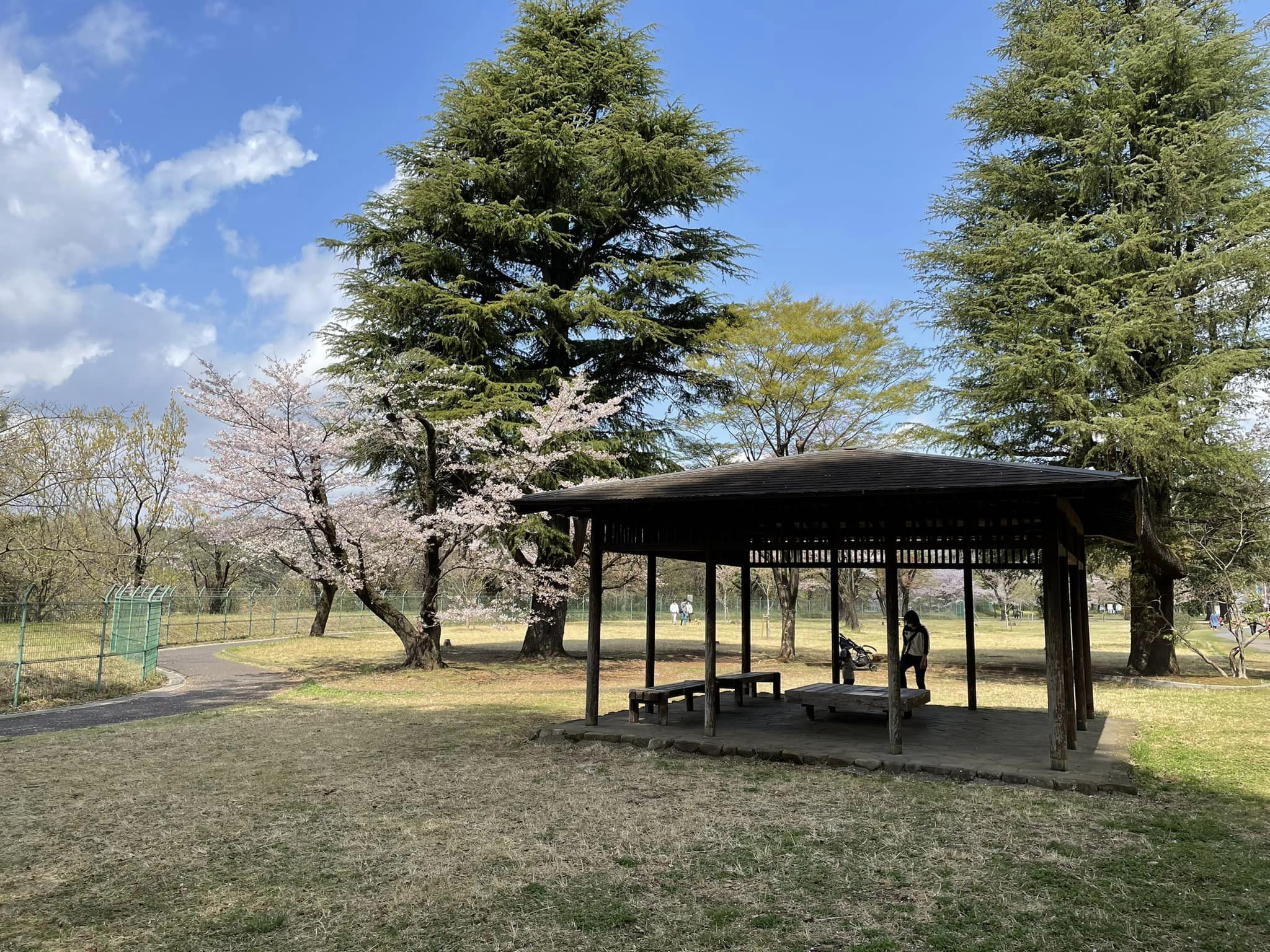 狭山湖畔を散歩