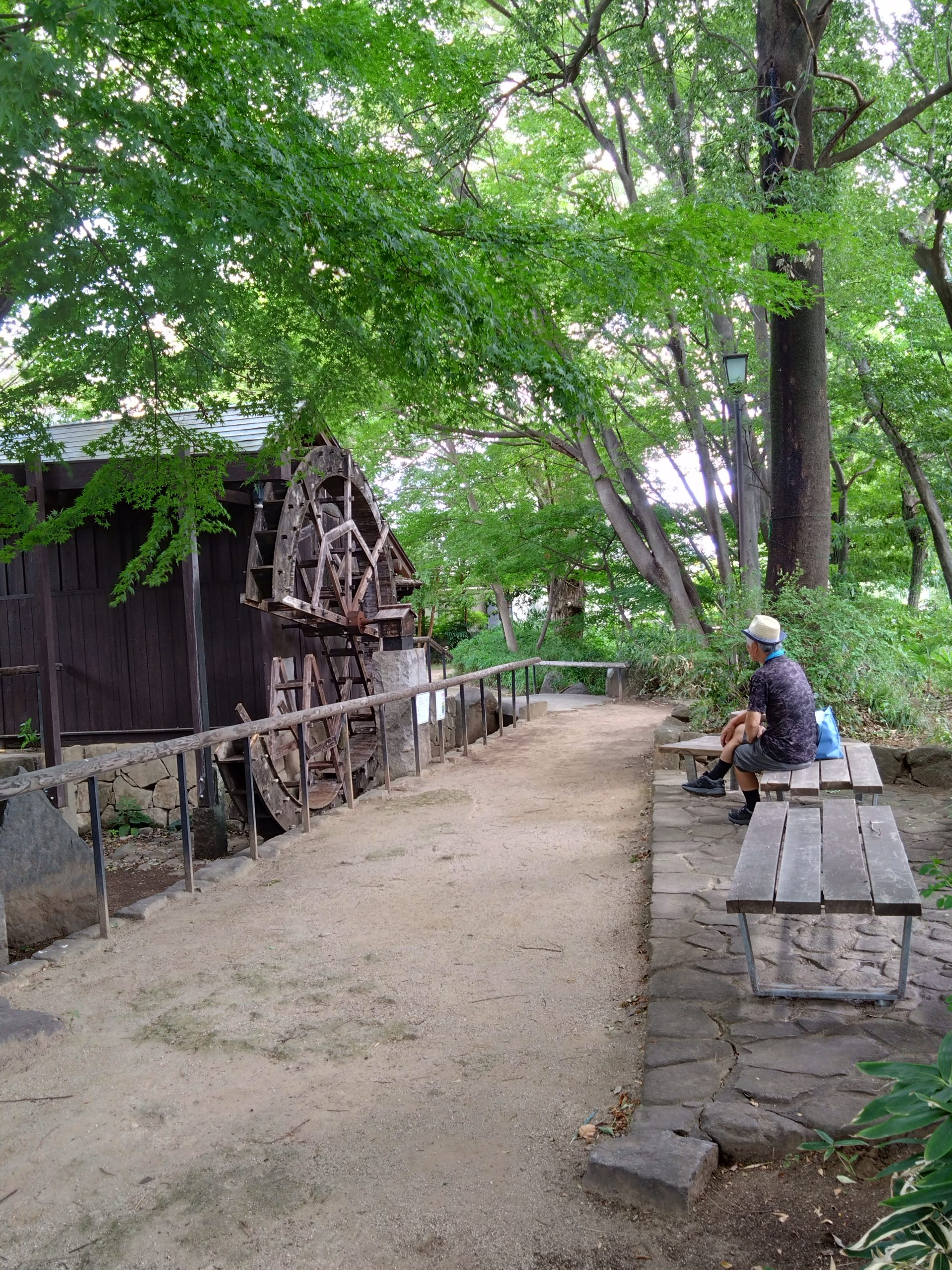 音楽♪｜今月の公園