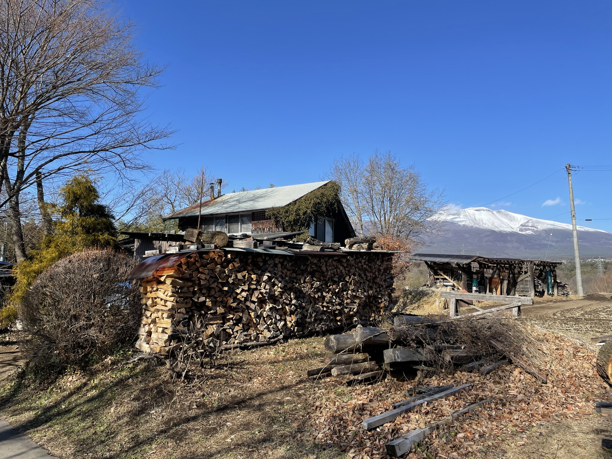 建築を巡る年末年始
