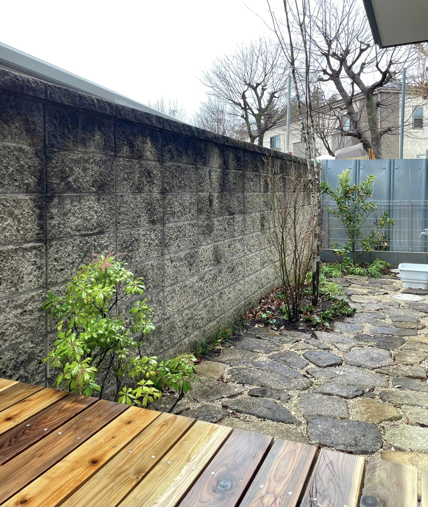 雨の日の庭石｜小林賢二さん造園の庭