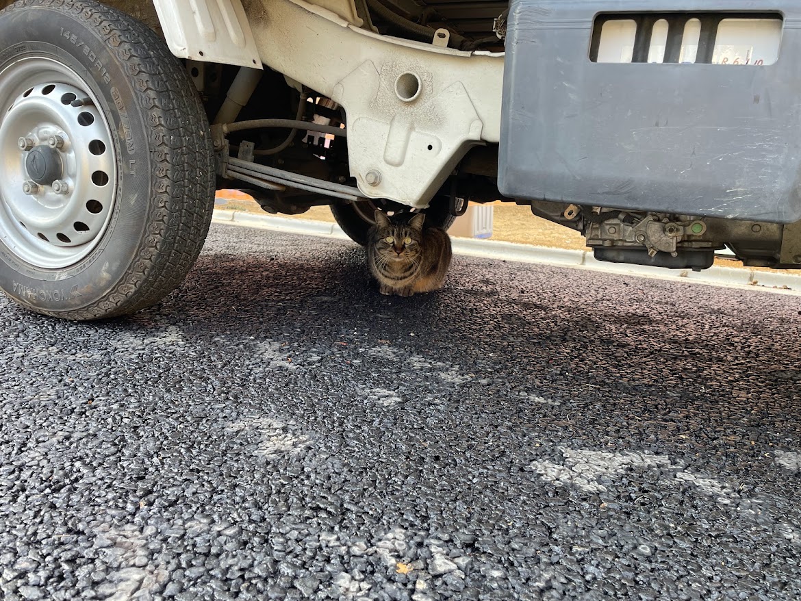 お蔵入り写真たち