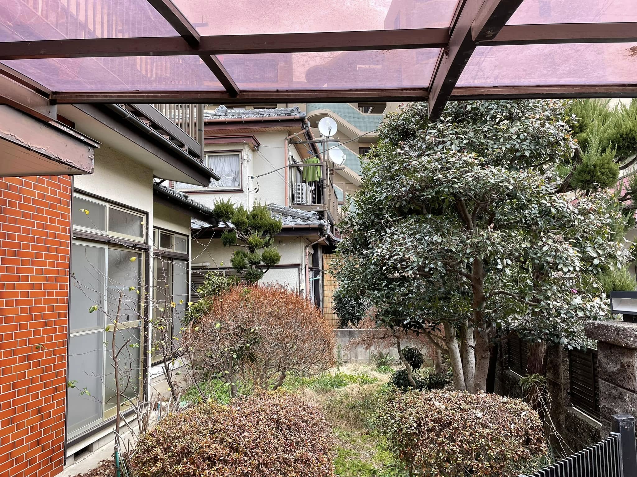 立春! 野口町の家に小さな春が来た🎵