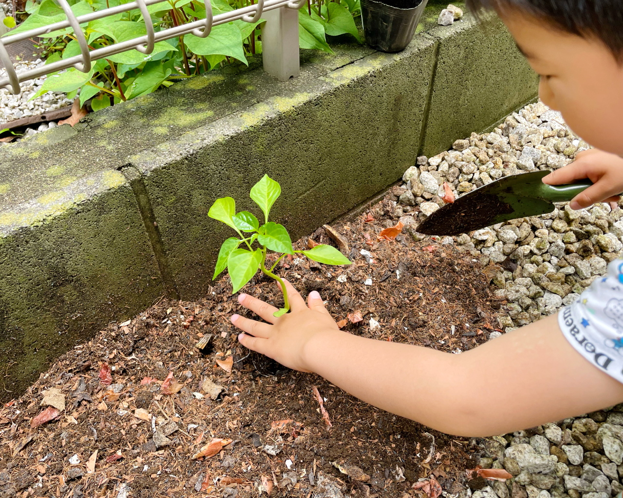 北側の庭でも野菜は育つ？ミニ畑はじめました｜いとう家の住宅