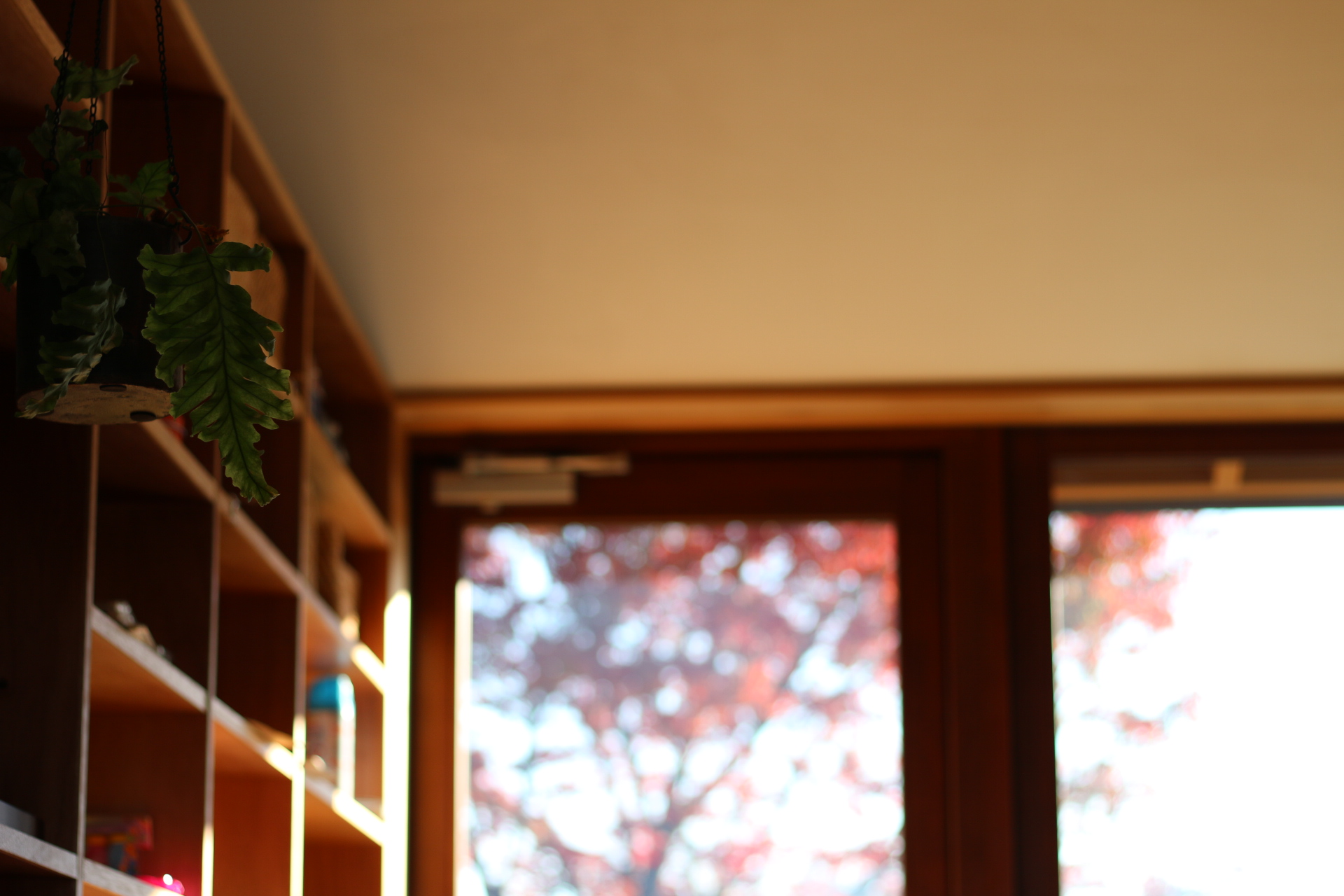 自然の実りを使って日々を彩ります。