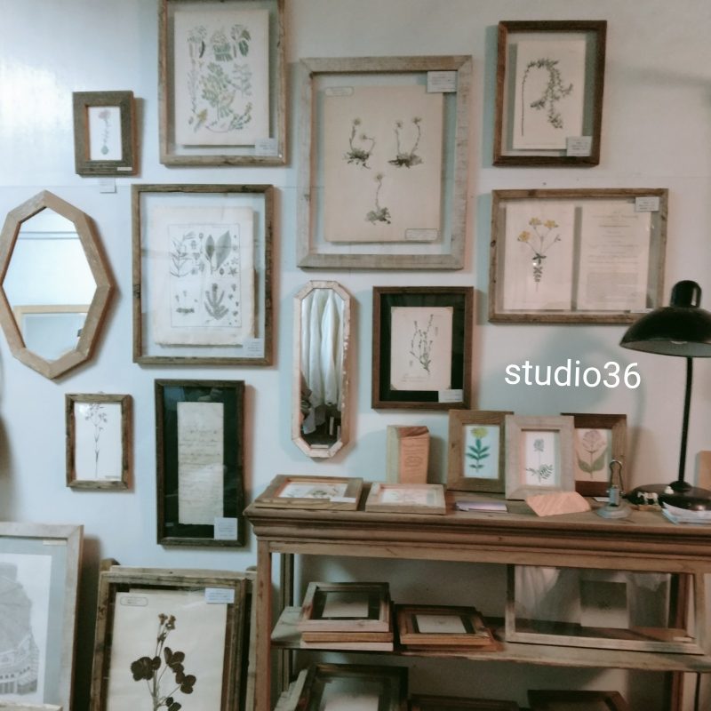 7/7（月）、7/21（月祝）はstudio36さんとのコラボ企画になります