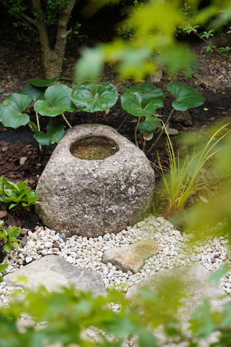 小鳥が遊びに来る手水鉢。