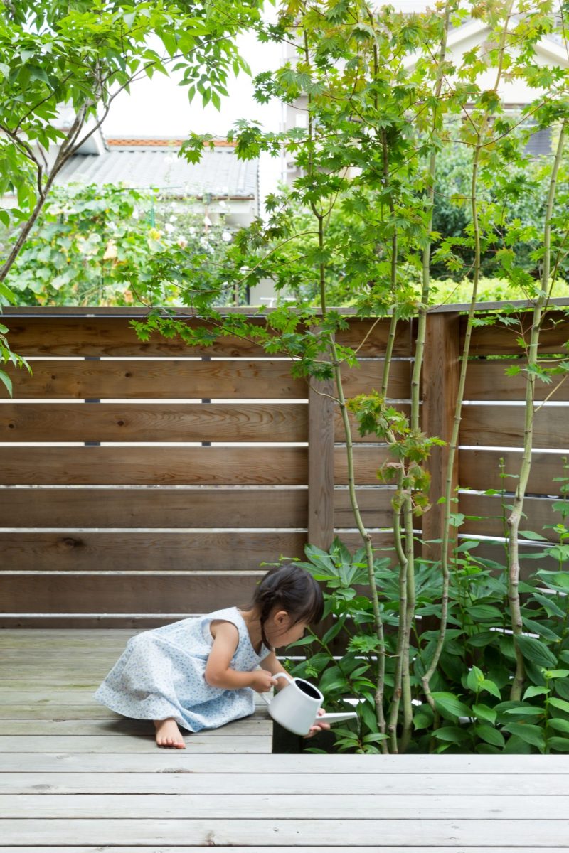 アオダモやカエデなどの木を中心に、子どもが楽しめるようにブルーベリーも植えています
