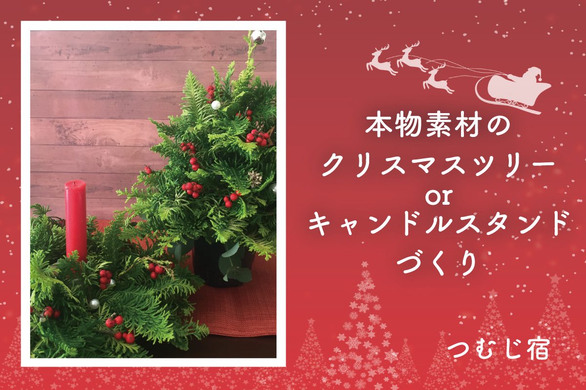 本物素材のクリスマスツリーorキャンドルスタンドづくり(終了)