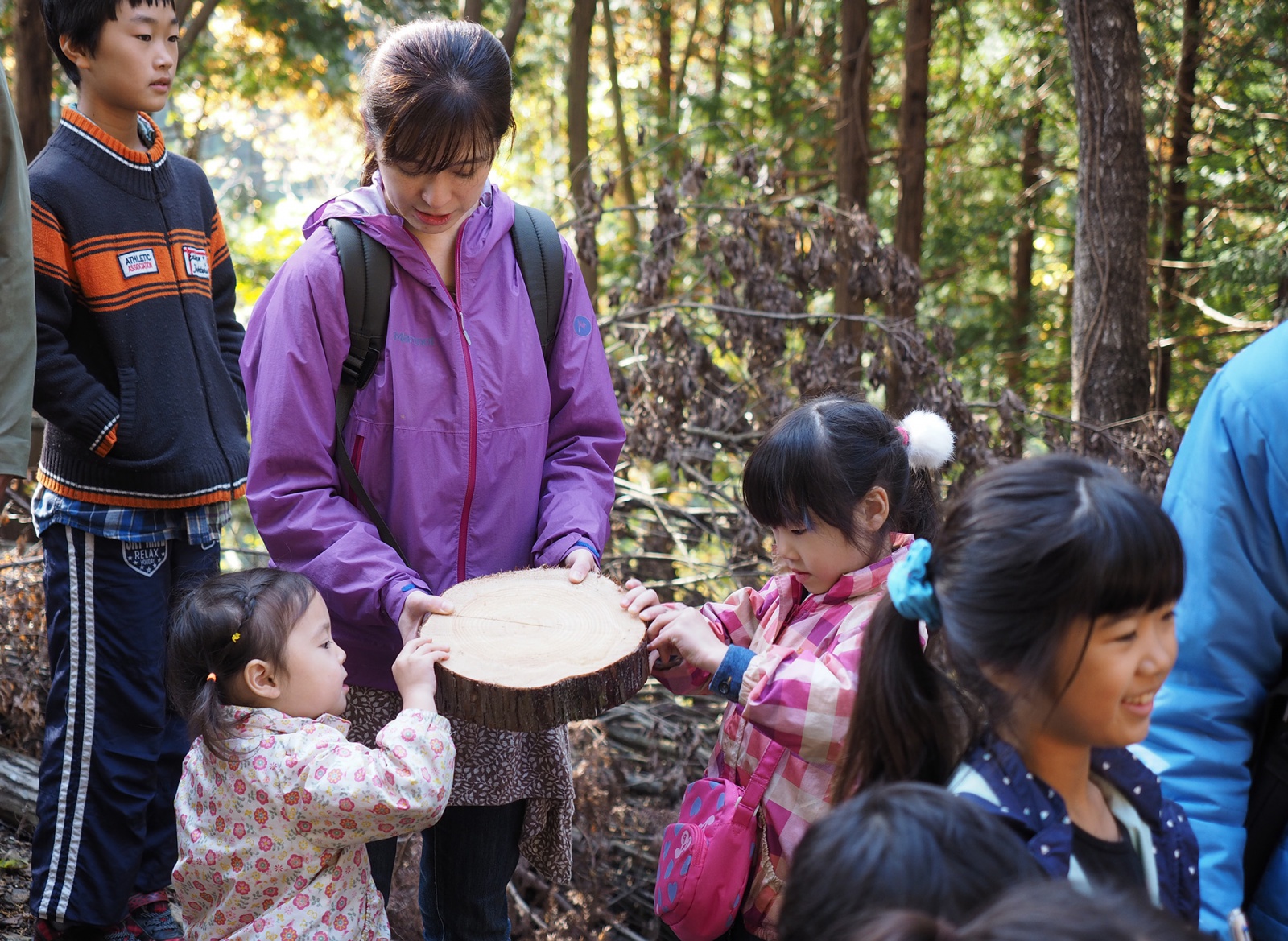 山と木を見に行く「森林バス見楽会」