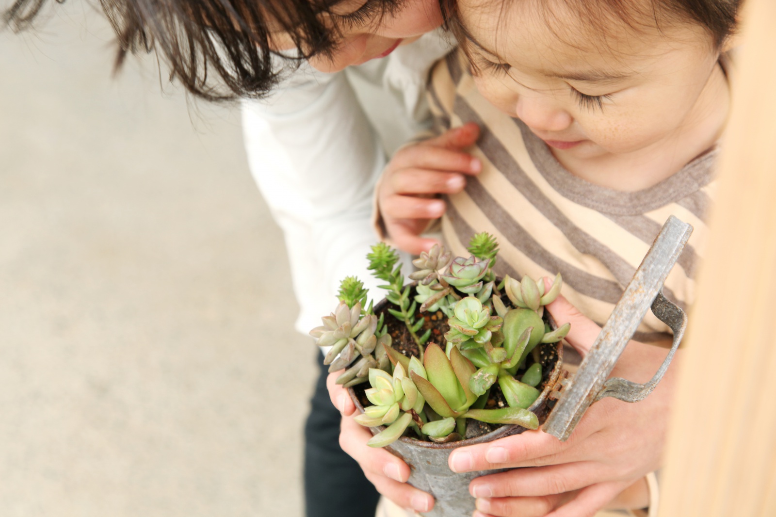 日々の暮らしを丁寧につくる