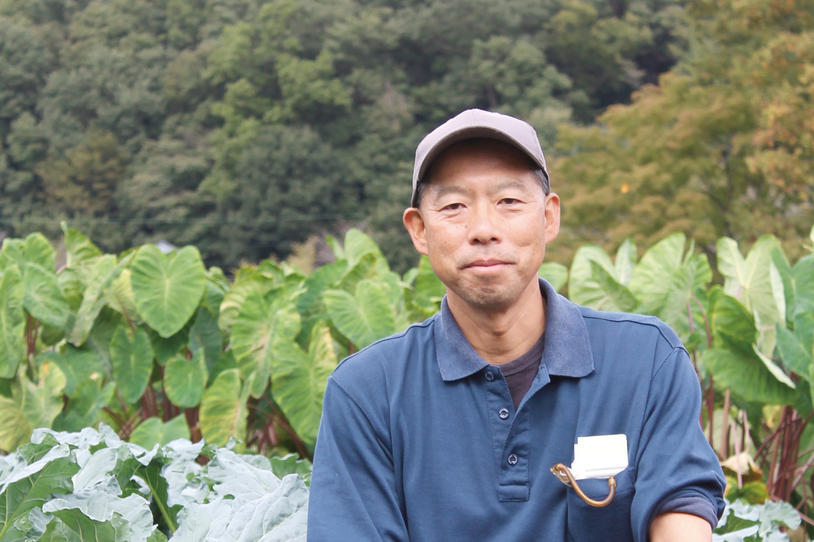 東村山市野口町「間野農園」さん