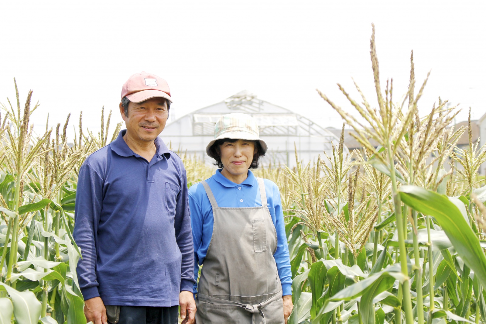 東村山市秋津町「武内農園」さん