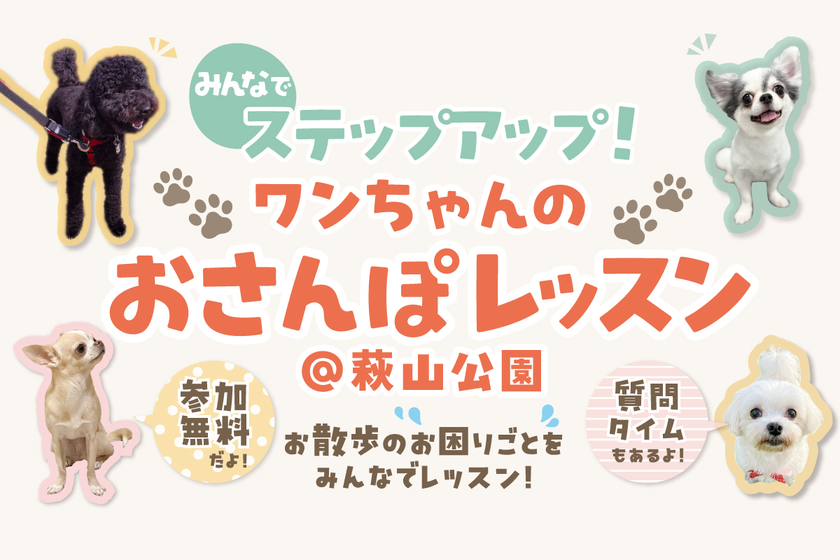 ♪みんなでステップアップ♪~ワンちゃんのお散歩レッスン~