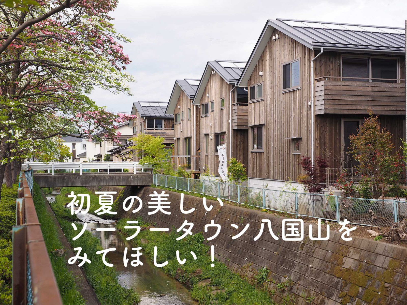 ソーラータウン八国山現地見楽会&オンライン見楽会(終了)