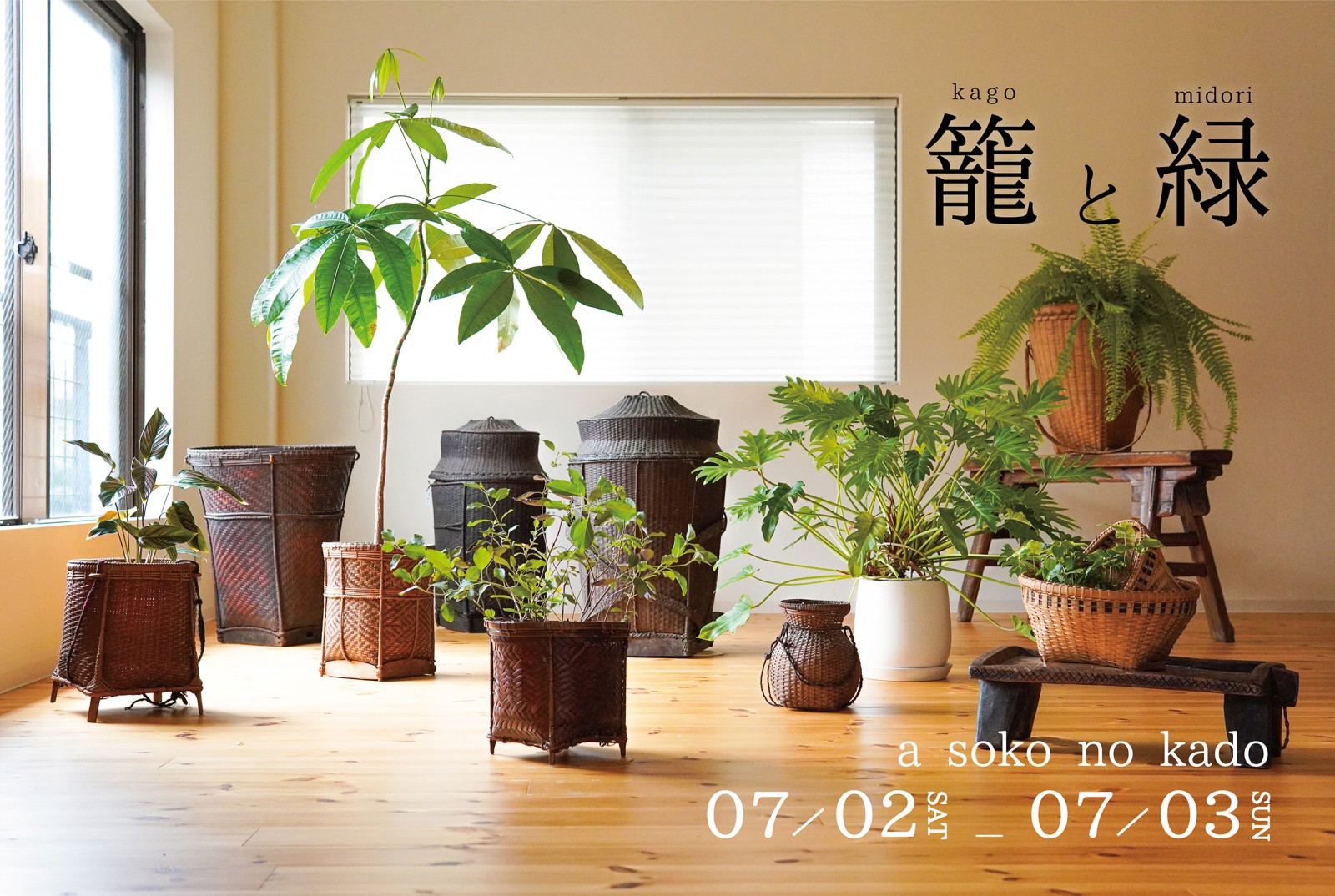 「籠と緑」a soko no kado(終了)