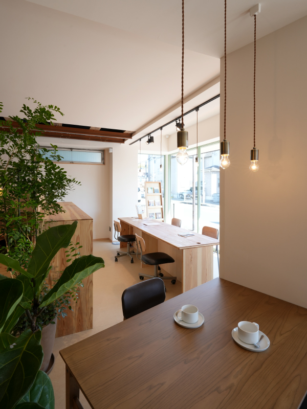 グリーンと照明調和する店内。