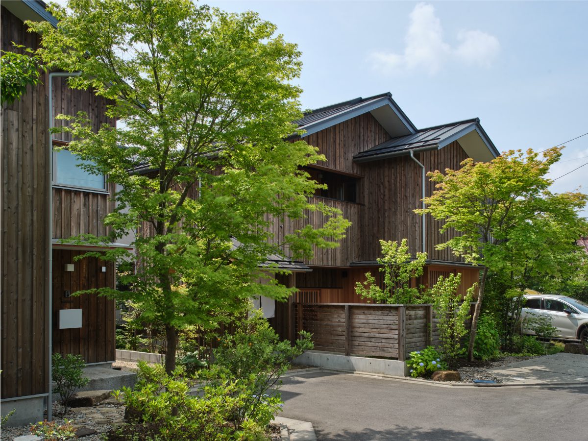 2023年初夏の様子