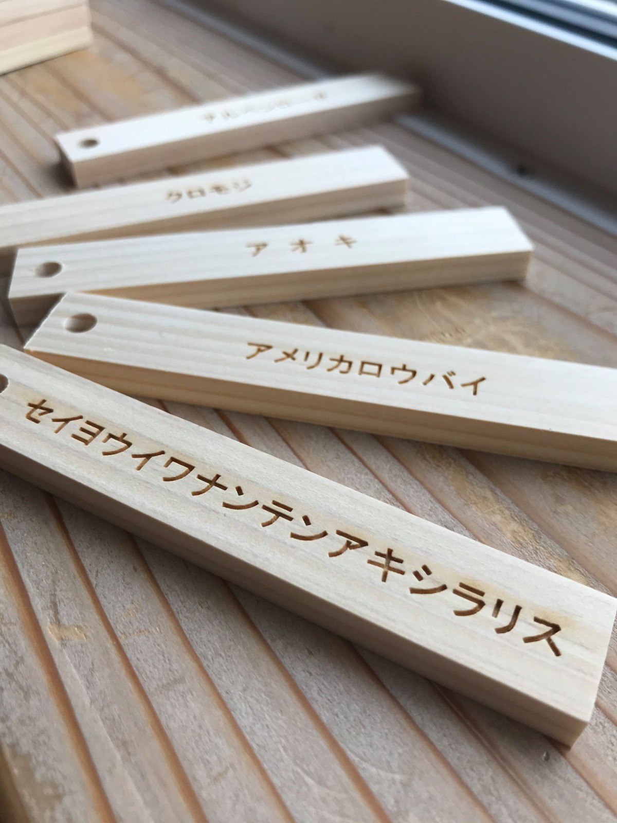 今回のワークショップでつむじの樹々につける「樹木札」