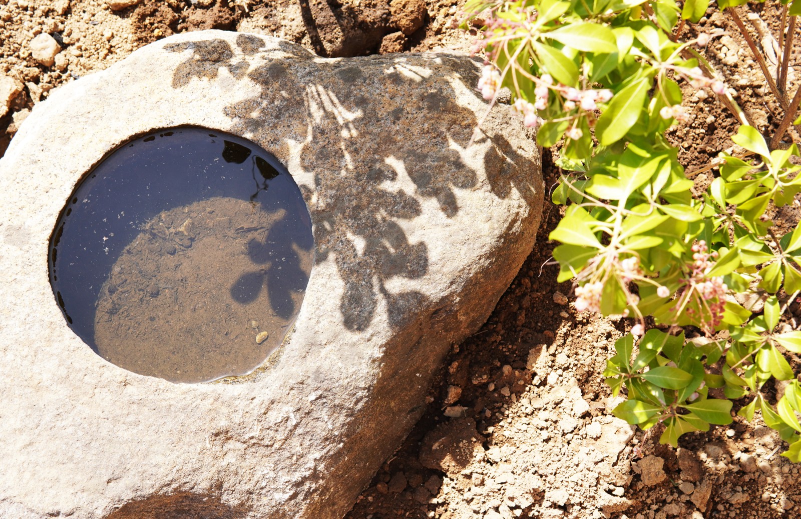 小林賢二さんの広い庭も見所