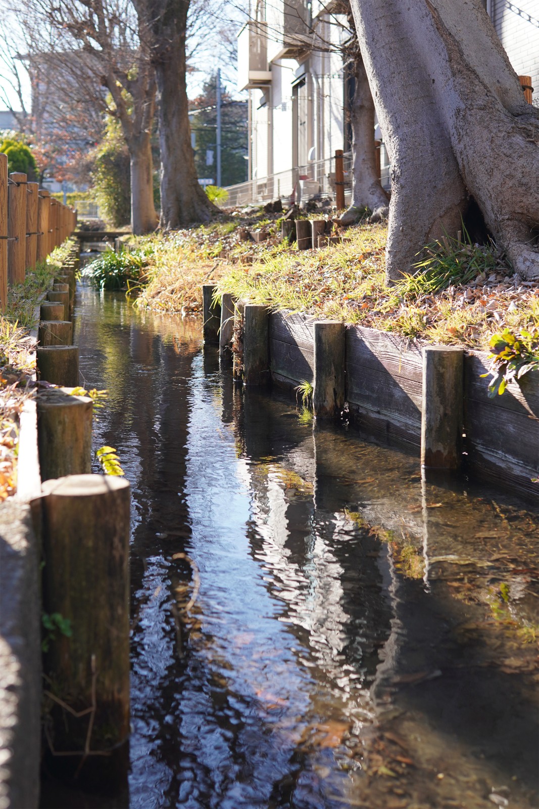 近隣には用水路があり、水の流れる音が聞こえます