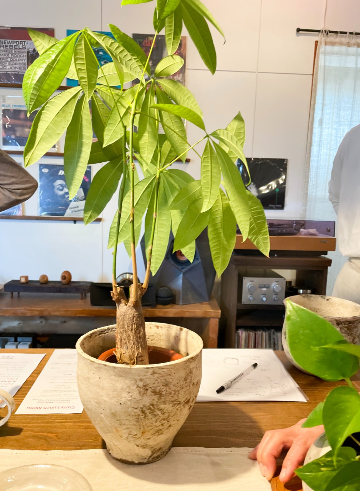 お店にて過去の鉢作品を見せていただきながら打ち合わせ