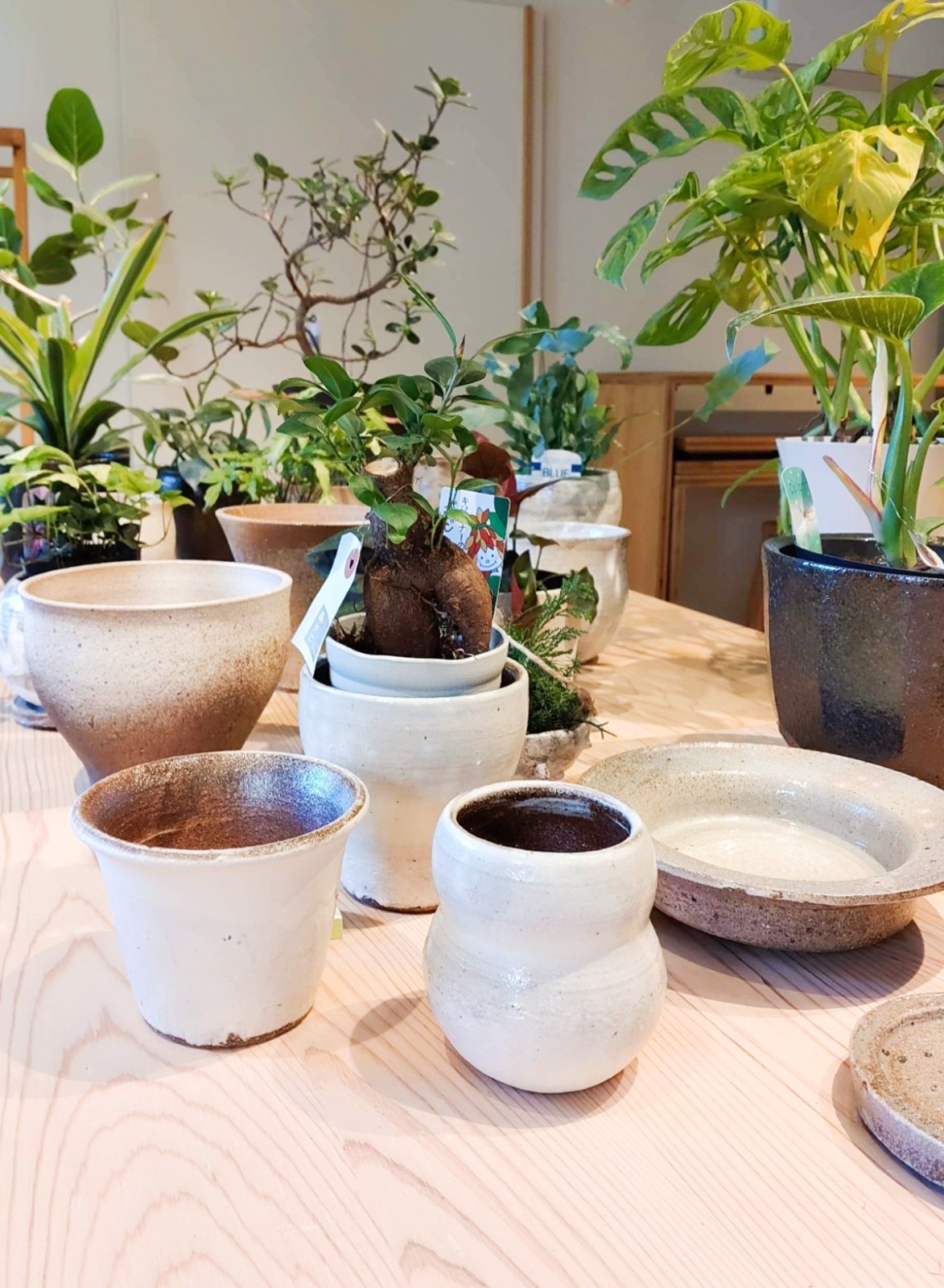 作品第1便が到着！大きさ、色形、感触、ひとつずつ個性があってどれも素敵です