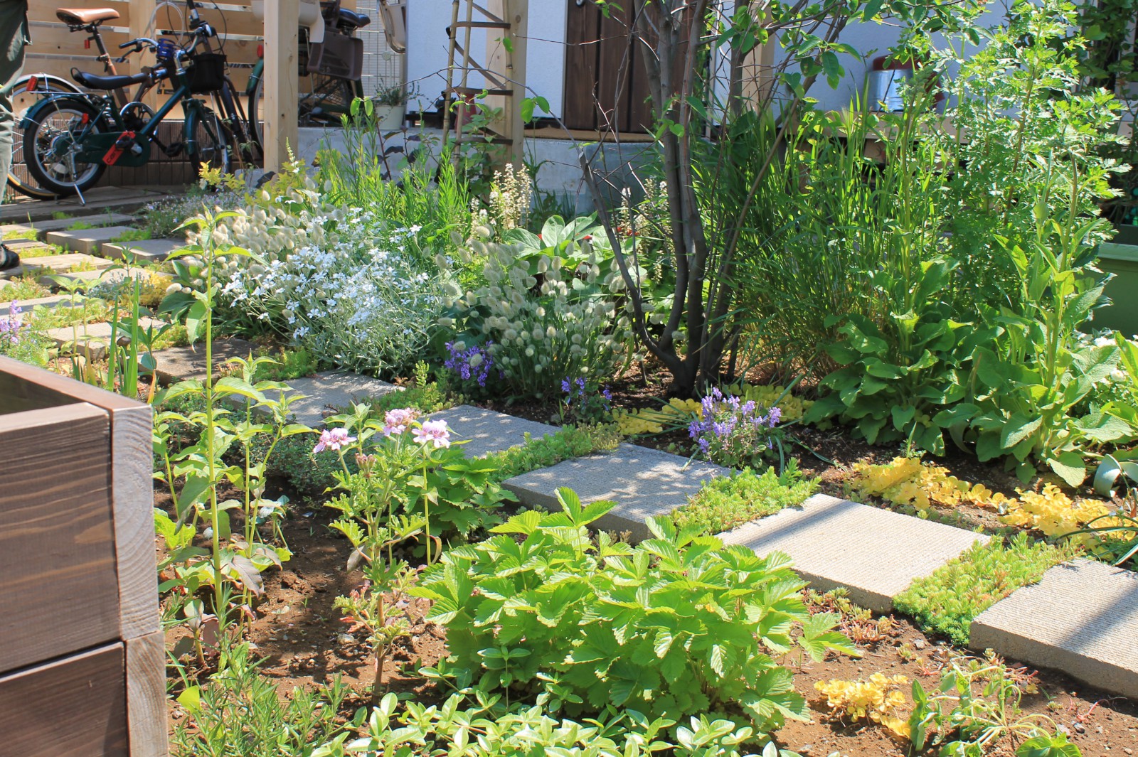 先を見越して余白ある植え込み