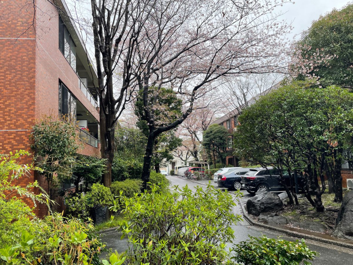 ５棟からなる3階建の素敵なマンション　詳細情報はお申込み時にお伝えします。